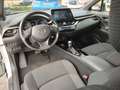 Toyota C-HR Hybrid mit Navi RelaxGarantie bis April 2033 Weiß - thumbnail 16