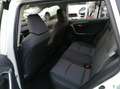 Toyota RAV 4 RAV4 2.5 HV (218CV) E-CVT 2WD Business Bianco - thumbnail 13