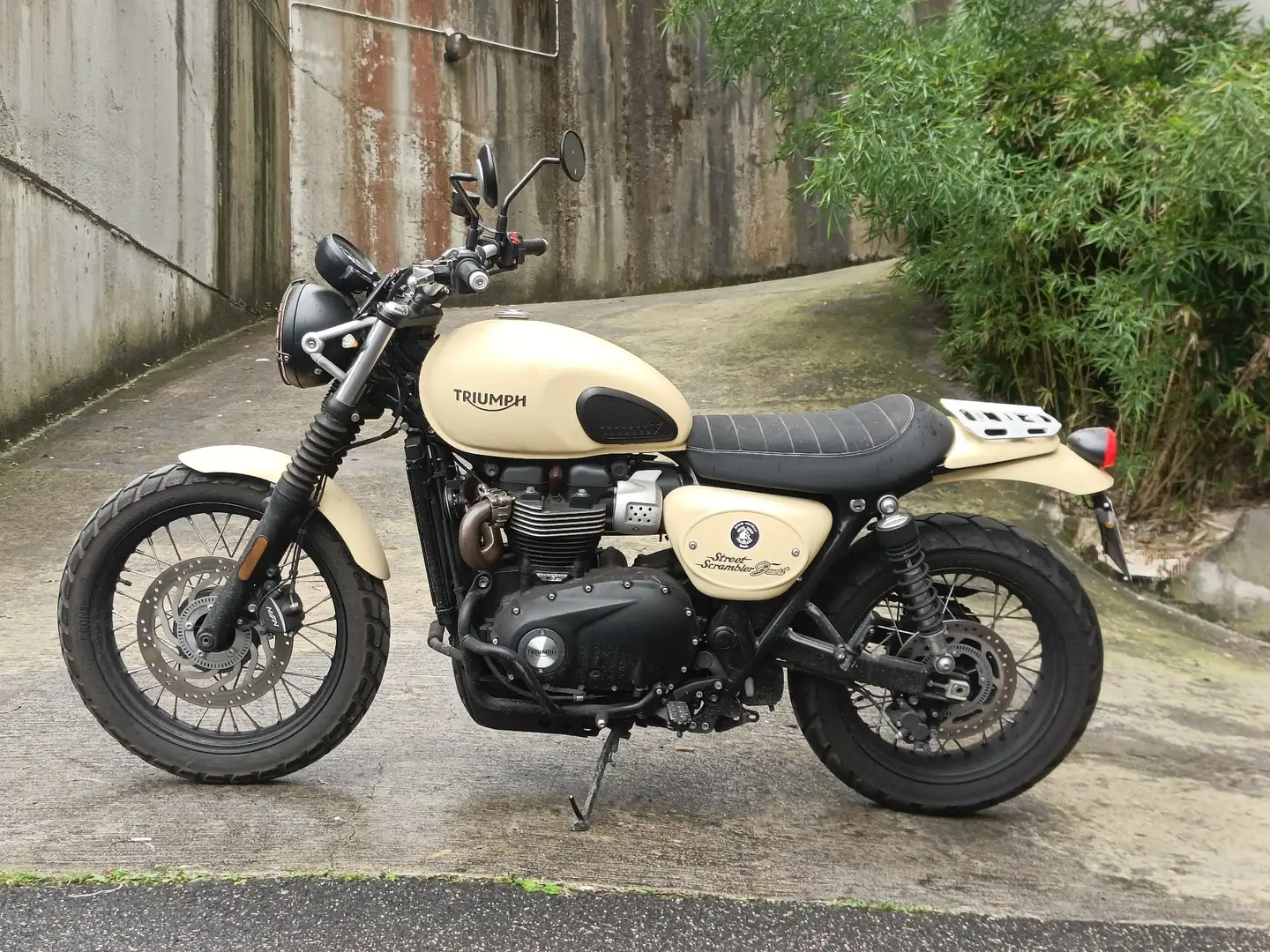 Triumph Street Scrambler Bej - 1