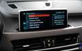 BMW X2 X2 1.5 dA sDrive16 M Sport Grau - thumbnail 15