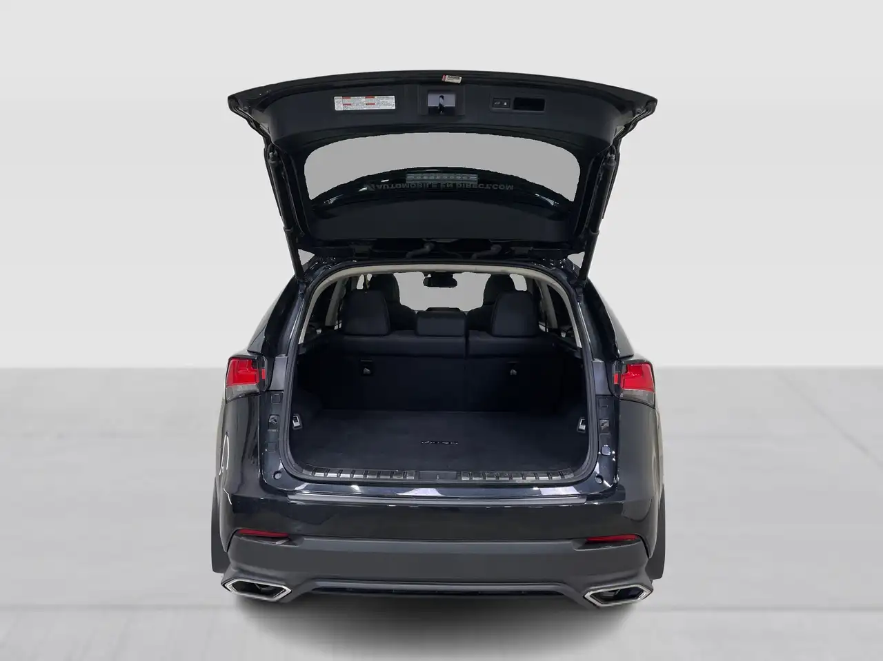 Lexus NX photo Lexus NX