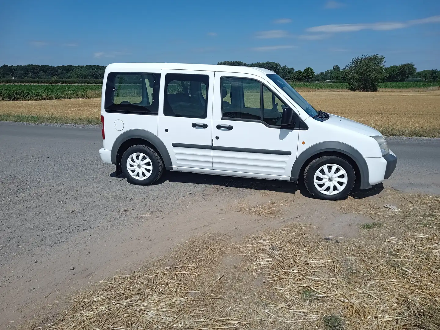 Ford Tourneo Connect GLX Белый - 1