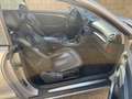 Mercedes-Benz CLK 200 CLK Cabriolet - A209 Cabrio k tps Avantgarde - thumbnail 5