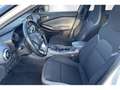 Nissan Juke ENIGMA PLUS Wit - thumbnail 13