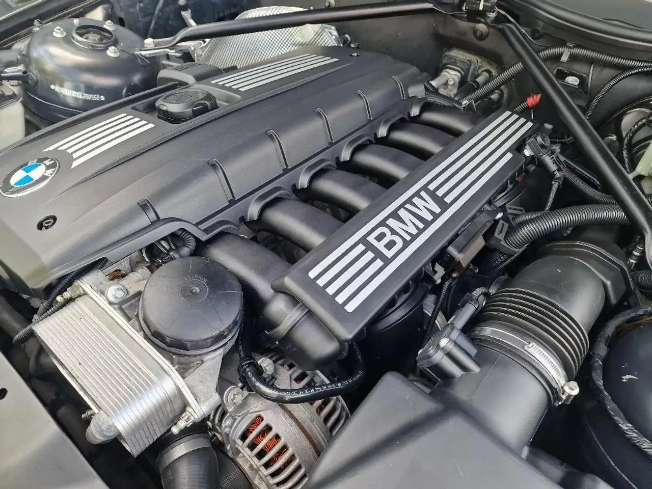 BMW Z4 afbeelding 20