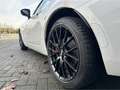 Mazda MX-5 2.0 Homura Recaro BBS Brembo Bilstein Bose Weiß - thumbnail 13