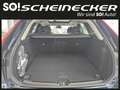 Volvo XC60 T6 AWD PHEV Plus Bright Aut. Bleu - thumbnail 6