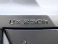 Lexus UX 250h F Sport Design | Bi-Tone | Leder | El. Achterklep Grijs - thumbnail 40
