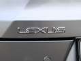 Lexus UX 250h F Sport Design | Bi-Tone | Leder | El. Achterklep Grijs - thumbnail 38