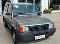 Fiat Panda 1.1 Trekking 4x4 unico proprietario Zilver - thumbnail 6