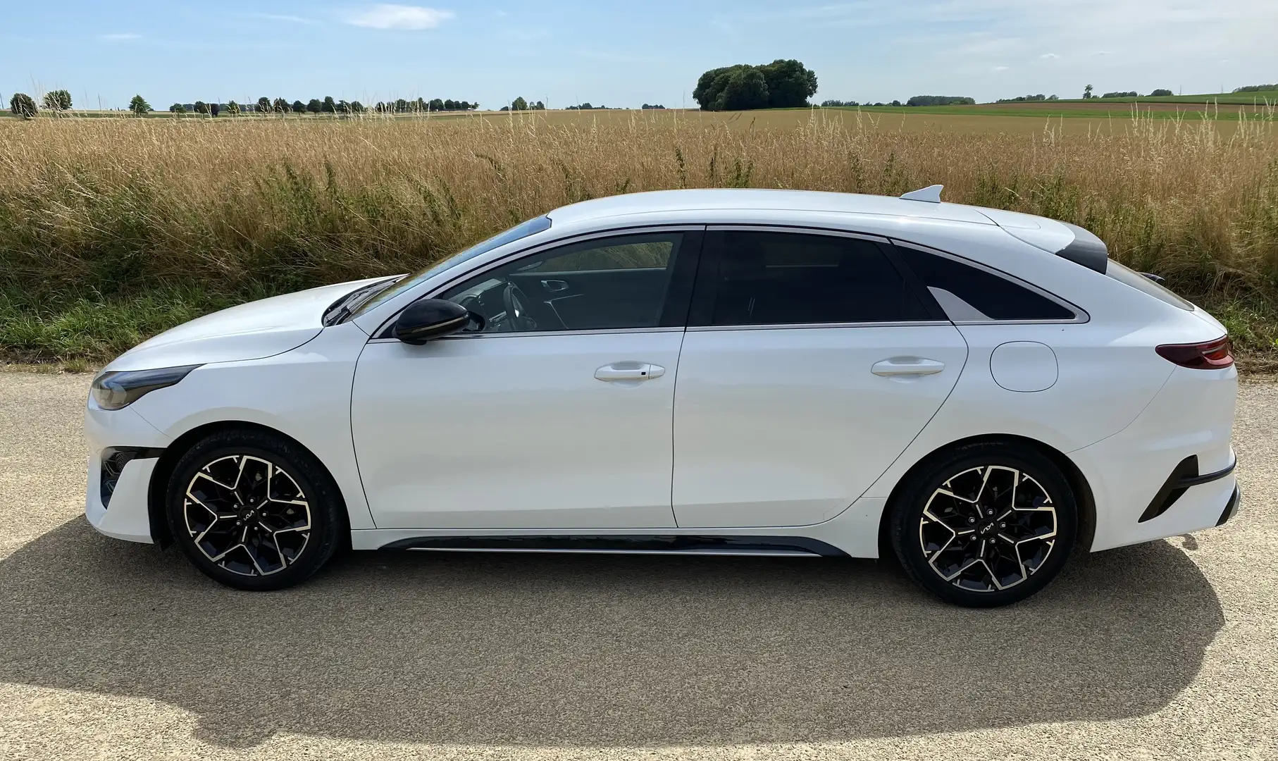 Kia ProCeed / pro_cee'd 1.0 T-GDi GT-Line ISG GARANTIE 2029 - 1