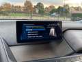 BMW i3 IPerformance 94Ah Leder, Schuifdak, Voorverwarming Grijs - thumbnail 34