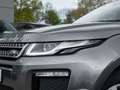 Land Rover Range Rover Evoque TD4  SE LM Leder SpurW Grau - thumbnail 11