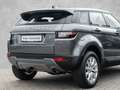 Land Rover Range Rover Evoque TD4  SE LM Leder SpurW Grau - thumbnail 7