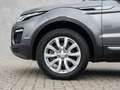 Land Rover Range Rover Evoque TD4  SE LM Leder SpurW Grau - thumbnail 9