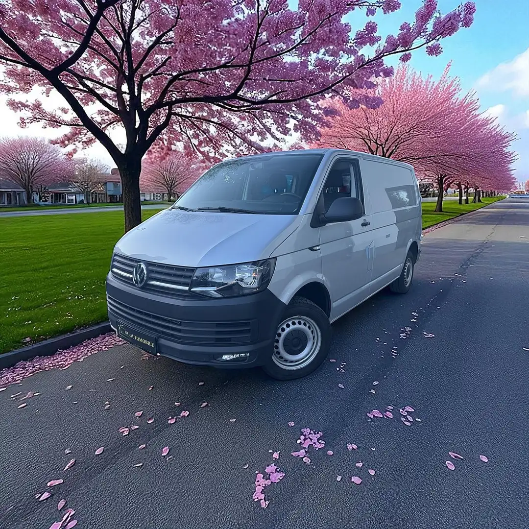 Volkswagen T6 Zilver - 1
