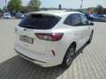 Ford Kuga ST-Line X Navi 4X4 gepflegt Weiß - thumbnail 4