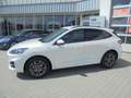 Ford Kuga ST-Line X Navi 4X4 gepflegt Weiß - thumbnail 2
