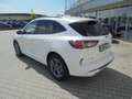 Ford Kuga ST-Line X Navi 4X4 gepflegt Weiß - thumbnail 3
