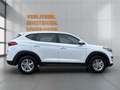 Hyundai TUCSON 1,6 GDI Run l SHZ l LHZ l Weiß - thumbnail 4