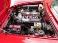 Alfa Romeo Spider - 1.6 HARD TOP Rood - thumbnail 14