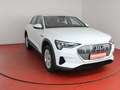Audi e-tron 55 quattro 299,-ohne Anzahlung Navi Sitzheizung White - thumbnail 25