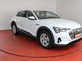 Audi e-tron 55 quattro 299,-ohne Anzahlung Navi Sitzheizung White - thumbnail 24