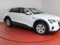 Audi e-tron 55 quattro 299,-ohne Anzahlung Navi Sitzheizung White - thumbnail 23