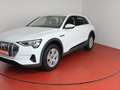 Audi e-tron 55 quattro 299,-ohne Anzahlung Navi Sitzheizung White - thumbnail 28