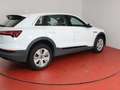 Audi e-tron 55 quattro 299,-ohne Anzahlung Navi Sitzheizung White - thumbnail 18