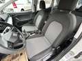 SEAT Ibiza 1,0 Reference Weiß - thumbnail 19