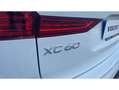 Volvo XC60 D4 Momentum AWD Aut. Blanco - thumbnail 30