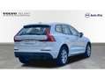 Volvo XC60 D4 Momentum AWD Aut. Blanco - thumbnail 6
