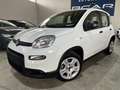 Fiat Panda 1.0 FireFly Hybrid City Cross 5 POSTI/OK NEOPATE Bianco - thumbnail 1