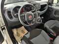 Fiat Panda 1.0 FireFly Hybrid City Cross 5 POSTI/OK NEOPATE Bianco - thumbnail 7