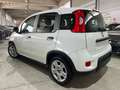 Fiat Panda 1.0 FireFly Hybrid City Cross 5 POSTI/OK NEOPATE Bianco - thumbnail 4