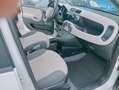 Fiat Panda Panda  0.9 t.air t. natural power Lounge 80cv E6 Bianco - thumbnail 11