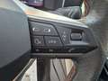 SEAT Leon 1.5 eTSI S&S FR DSG-7 150 Burdeos - thumbnail 33