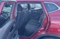 Nissan Qashqai Qashqai 1.6 dCi 2WD Acenta Rosso - thumbnail 11