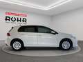 Volkswagen Golf VIII (SHZ.DAB.PDC.GRA) 1.5 TSI Weiß - thumbnail 4