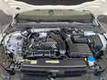 Volkswagen Golf VIII (SHZ.DAB.PDC.GRA) 1.5 TSI Weiß - thumbnail 16