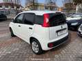 Fiat Panda Panda 1.2 Easy  OK NEOPATENTATI Beige - thumbnail 5