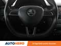 Skoda Rapid/Spaceback 1.2 TSI Ambition *TEMPO*PDC*SHZ*KLIMAAUT* Blau - thumbnail 19