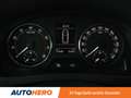 Skoda Rapid/Spaceback 1.2 TSI Ambition *TEMPO*PDC*SHZ*KLIMAAUT* Blau - thumbnail 20