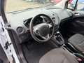Ford Transit Courier Trend 1,0 EcoBoost 19.000 KM Blanco - thumbnail 10