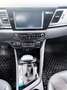 Kia Niro Niro 1,6 GDI Hybrid Gold DCT Gold - thumbnail 12
