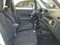 Jeep Renegade 1.6 Mjt DDCT 120CV Limited Weiß - thumbnail 14