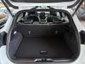 Ford Puma 1,0 EcoBoost ST-Line X Aut. Weiß - thumbnail 16