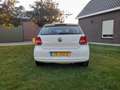 Volkswagen Polo 1.2-12V Comfortline met lichte schade Wit - thumbnail 3