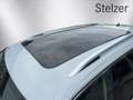 Volkswagen Tiguan Allspace R-Line AHK Pano AUT Weiß - thumbnail 19